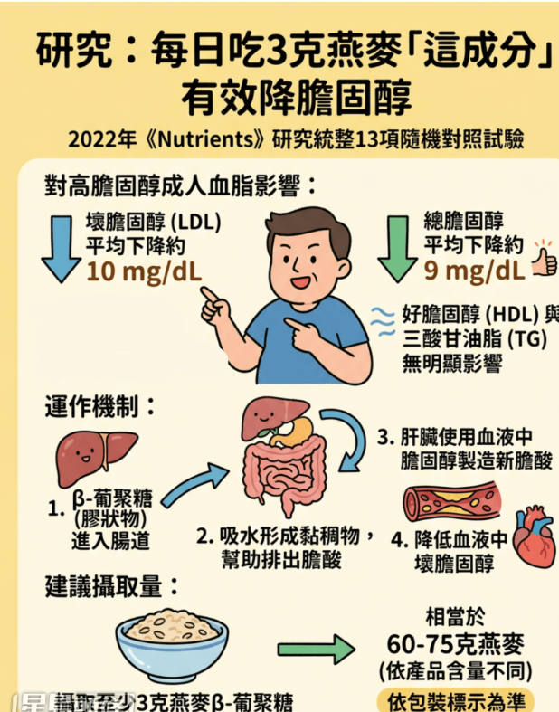 为现代平台打造的卓越UI组件 - hth.com